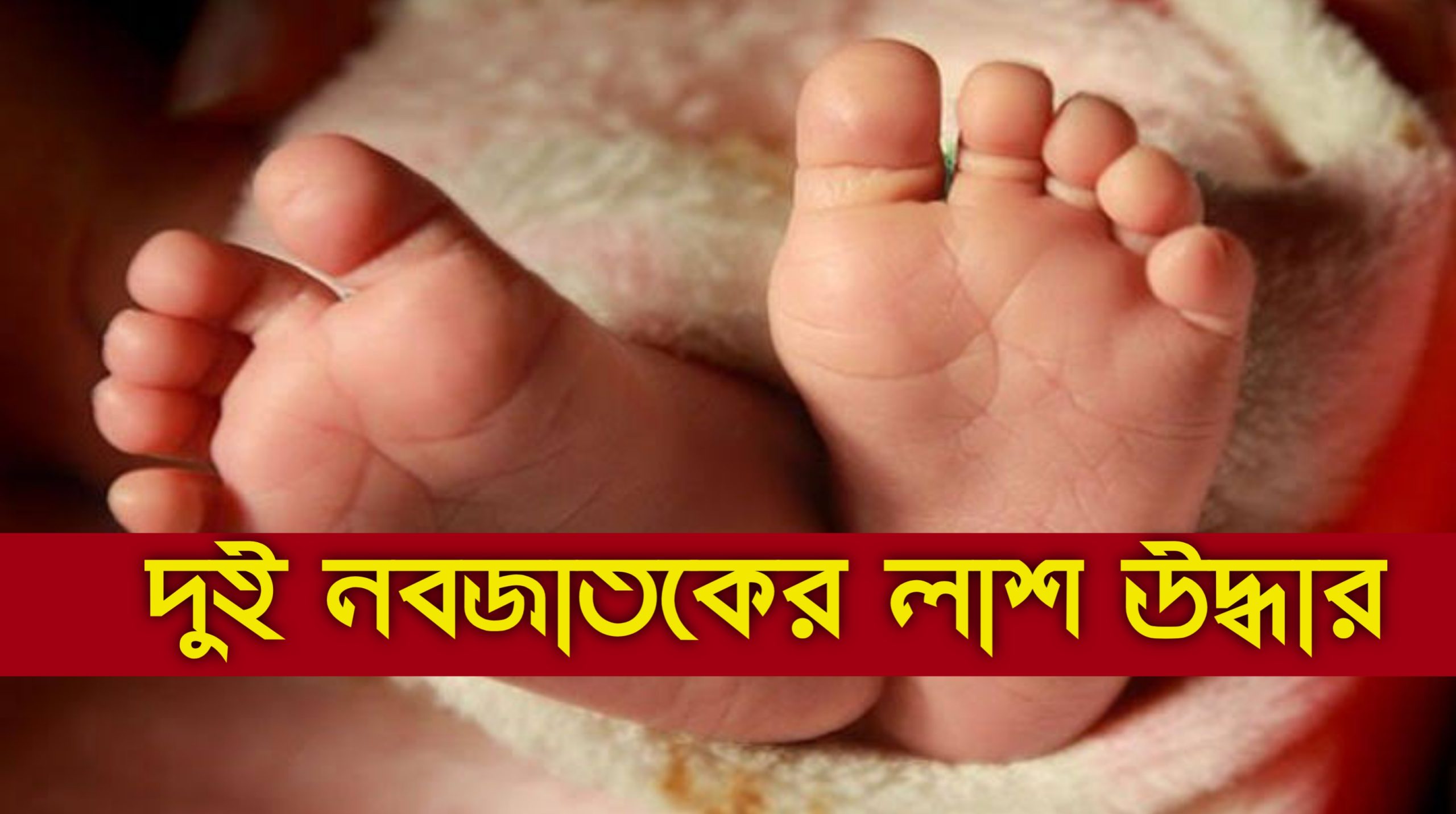 ডাস্টবিন থেকে দুই জন নবজাতকের লাশ উদ্ধার